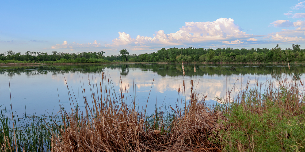 Image for Baker University and DU Permanently Protect Wetlands for Education and Research
